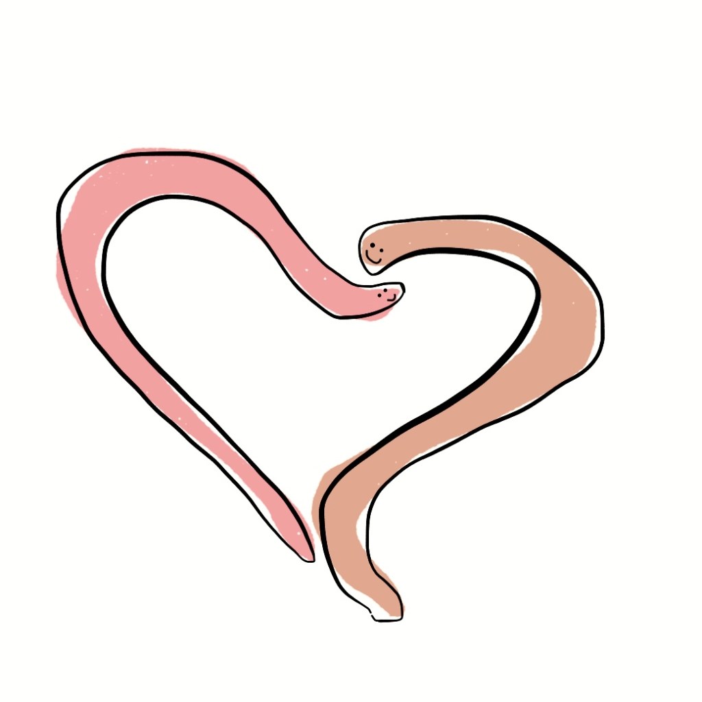 What’s eating you?